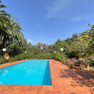 Holiday home En Medio Del Bosque, El Lance, Firgas